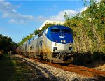 134 - Amtrak Silver Meteor